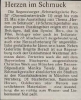 Mittelbayerische Zeitung Mai 1993